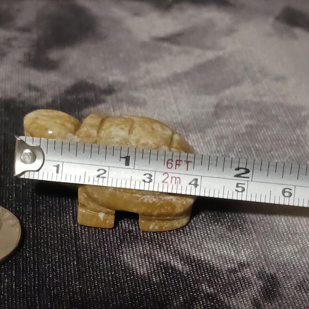 Crystal Turtle - Picture 7 of 8